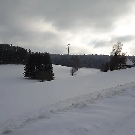 Schiller Schonach im Schwarzwald
