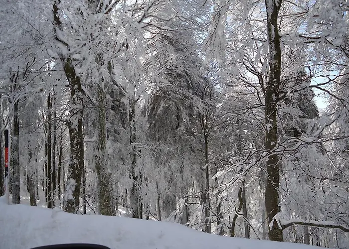 Schiller 3* Schonach im Schwarzwald