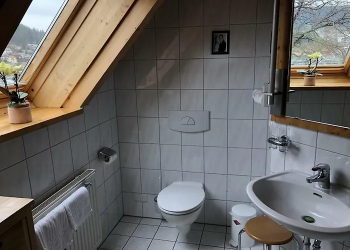 Schiller Schonach im Schwarzwald